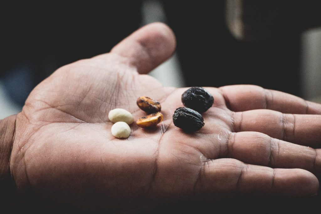 Coffee fruit to coffee bean