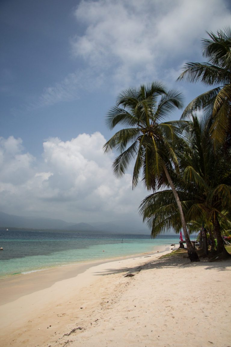 Palm trees in San Blas