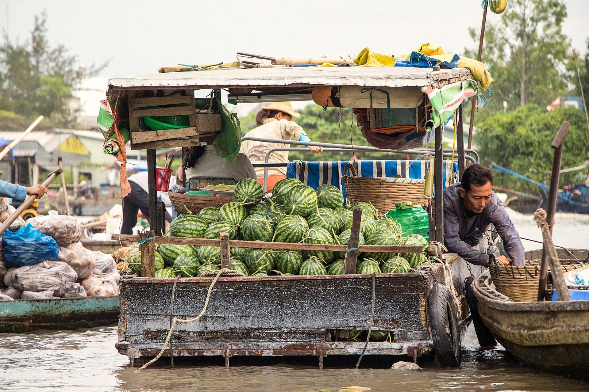 Mekong Delta