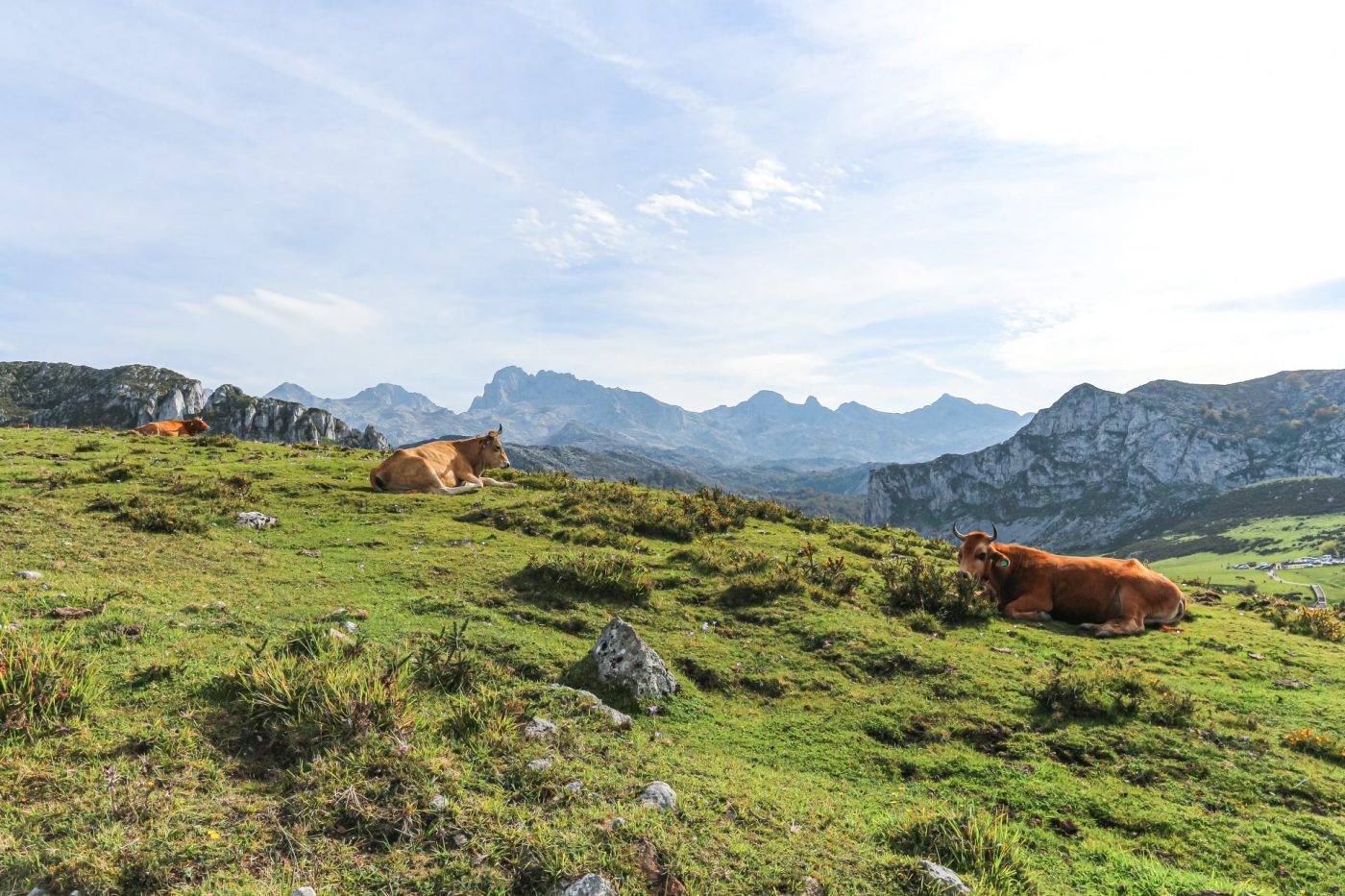 Covadonga Lakes