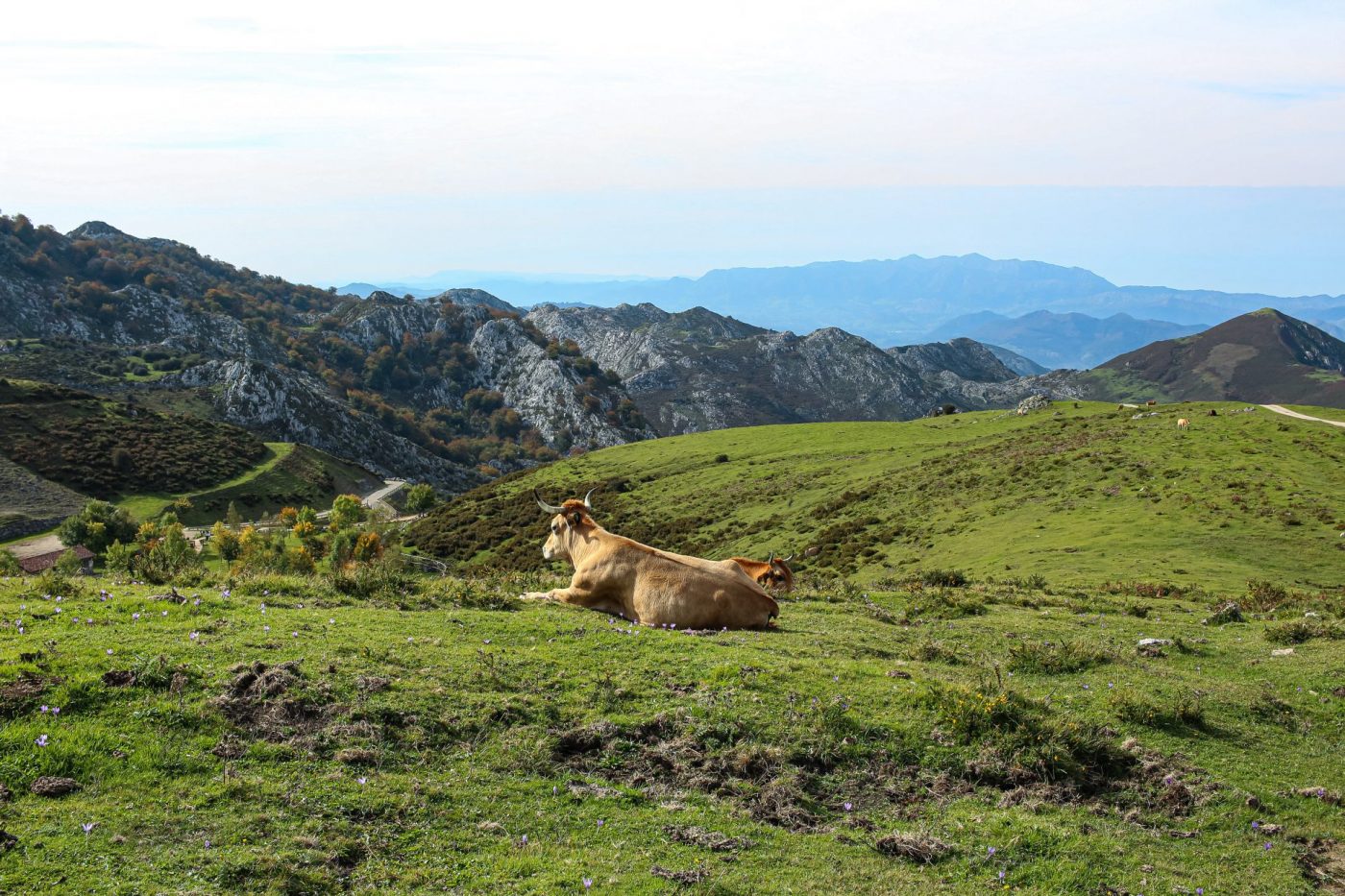 Covadonga Lakes