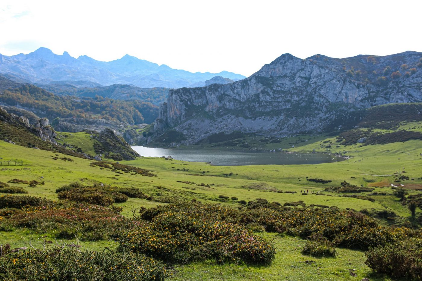 Covadonga Lakes