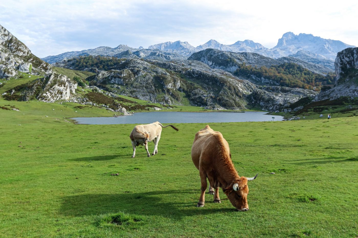 Covadonga Lakes