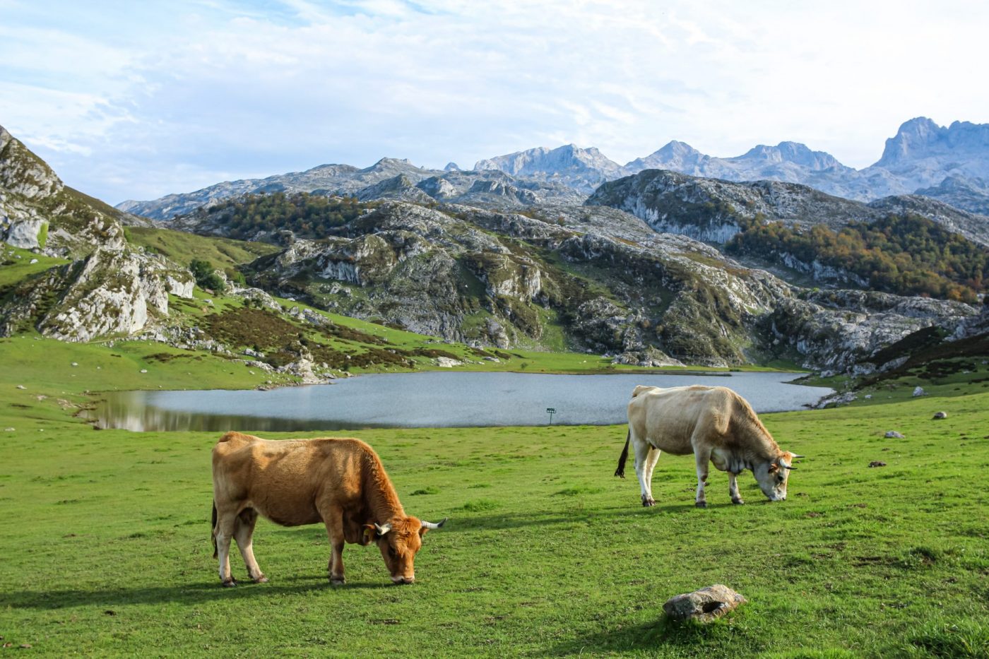Covadonga Lakes