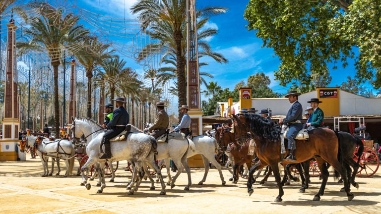 Read more about the article Spanish Dancing Horses, Sherry and Flamenco in Jerez