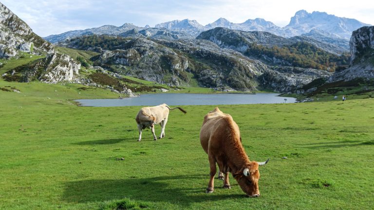 Read more about the article Hiking Picos de Europa – Winding Roads and Glacial Lakes