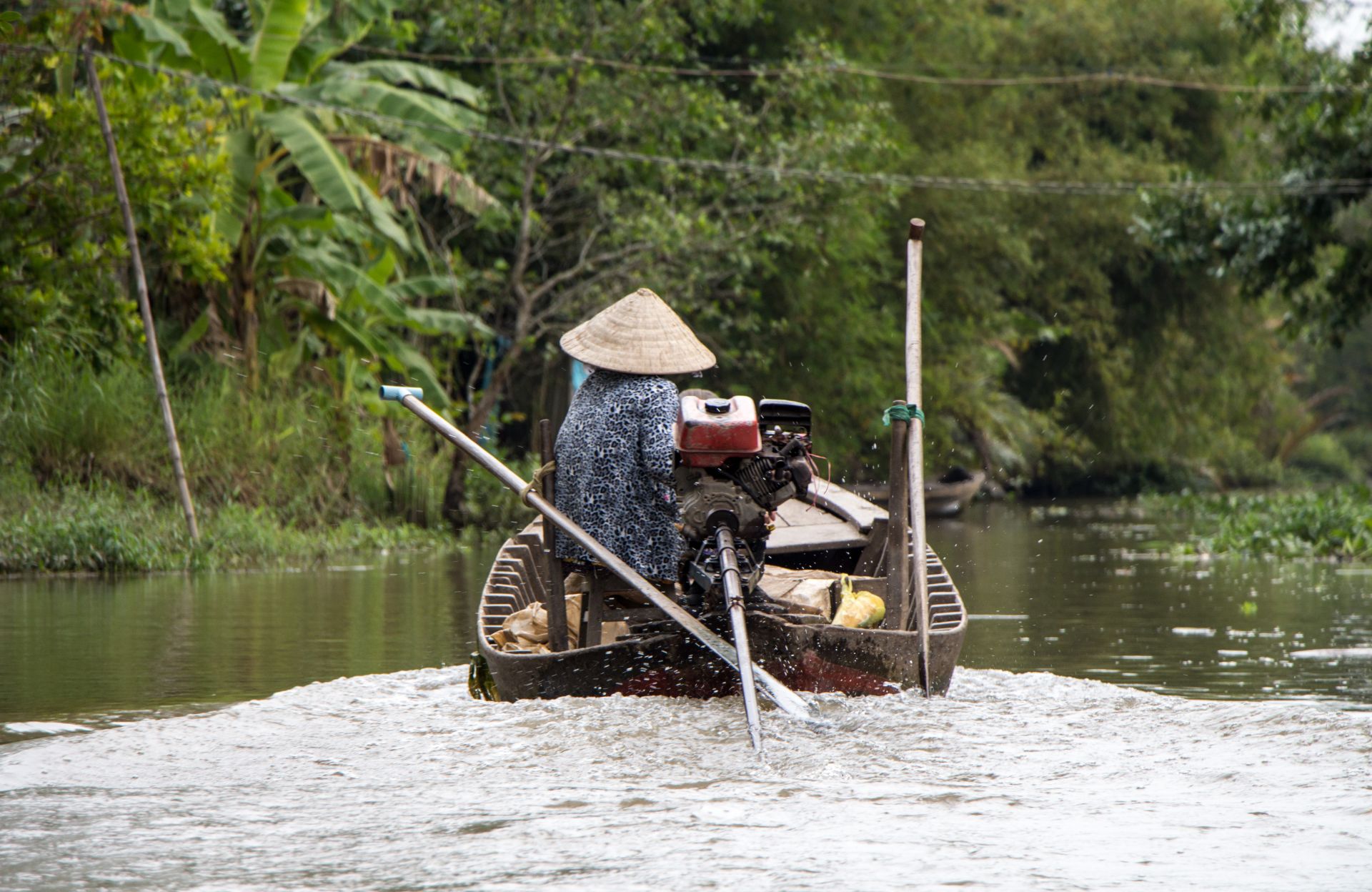 Mekong Delta