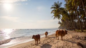 Mui Ne, Vietnam