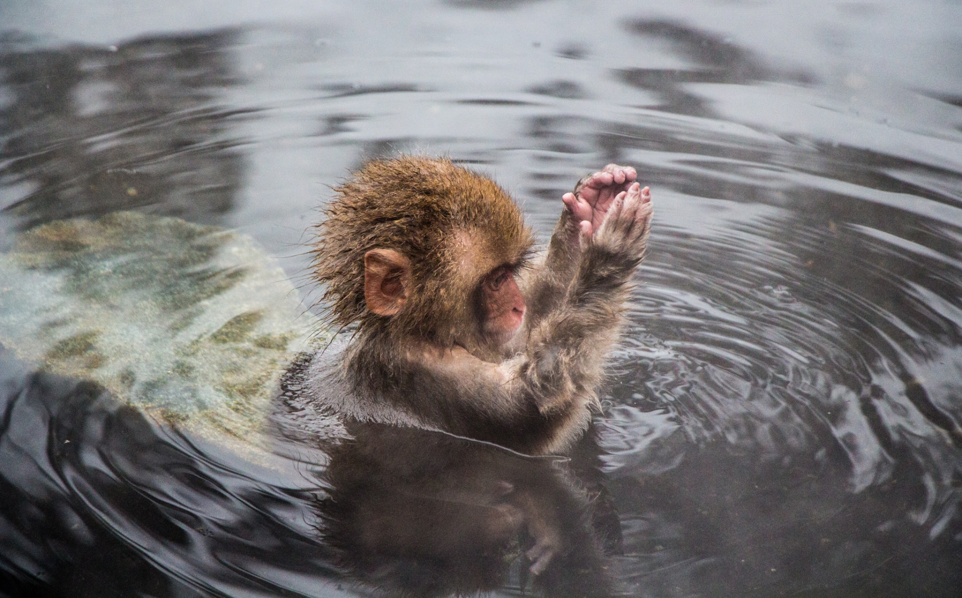 Keeping Your Hands Dry