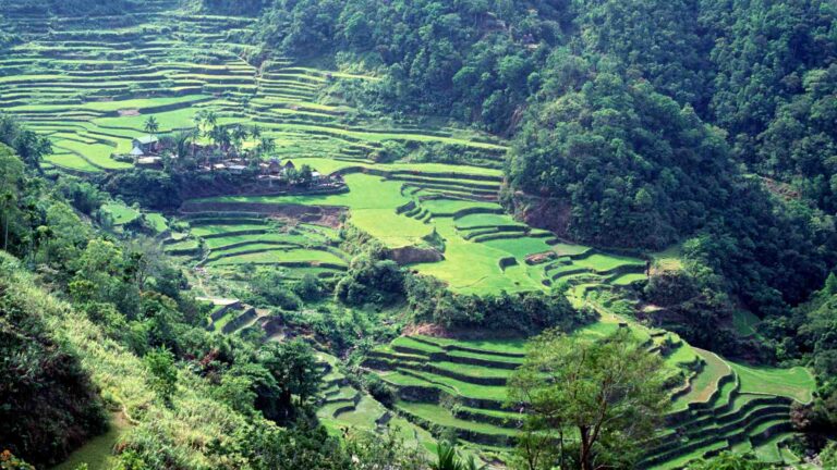 Banaue Rice Terraces, Philippines