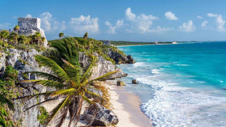 Read more about the article Top Tours And Daytrips from Tulum